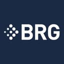 Berkeley Research Group, LLC