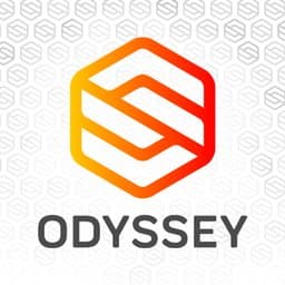 Odyssey Systems Consulting Group