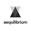 Aequilibrium Software Inc.