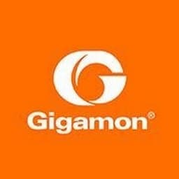 Gigamon