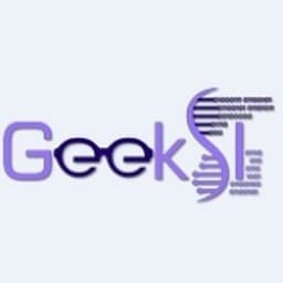 GeekSI